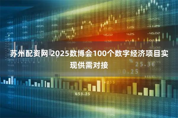 苏州配资网 2025数博会100个数字经济项目实现供需对接